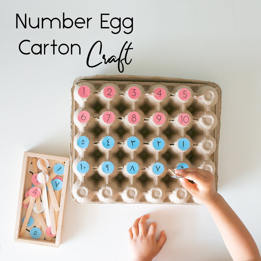 Number Egg Carton Craft