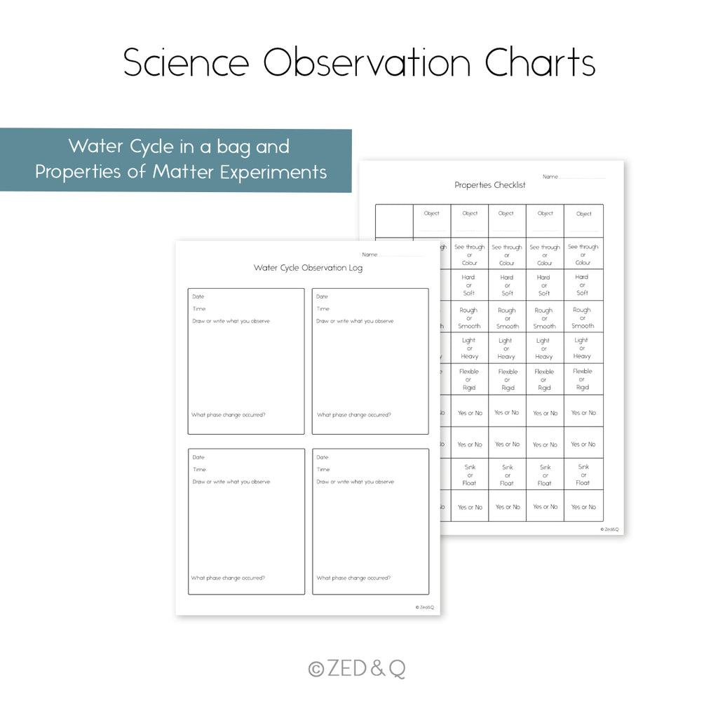Science: Matter Observation Sheets