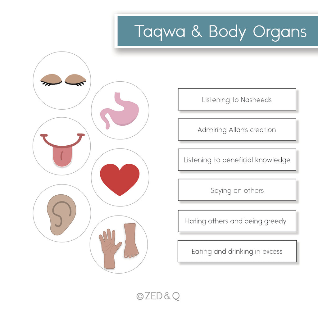 Taqwa Pack