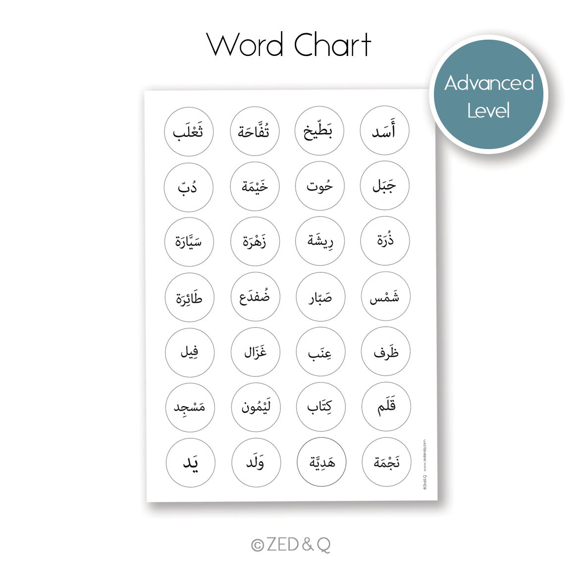 Arabic | Word Chart – Zed&Q